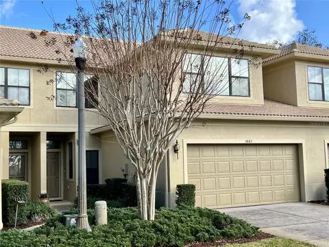 4887 Silverback Ct, Palm Harbor, FL 34684
