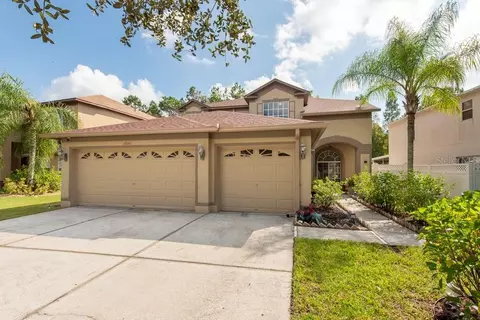 18141 Sandy Pointe Dr, Tampa, FL 33647