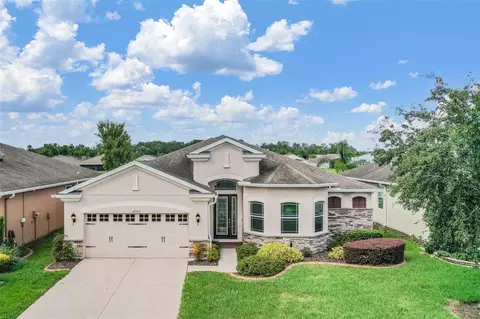 29263 Grass Bunker Dr, San Antonio, FL 33576