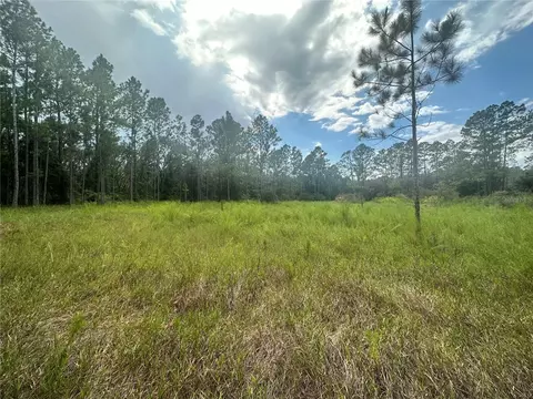 Cleft Rock Street, Webster, FL 33597