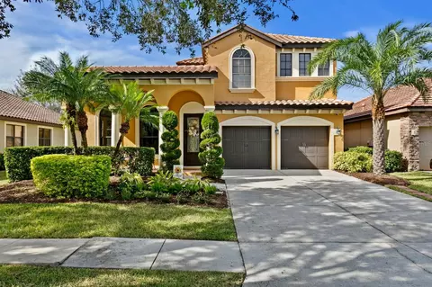 20352 Chestnut Grove Dr, Tampa, FL 33647
