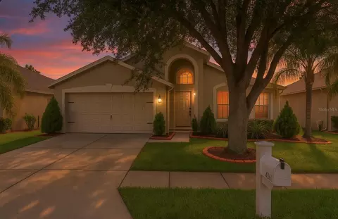 4206 Branchside Ln, Wesley Chapel, FL 33543