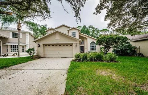 16006 Shinnecock Dr, Odessa, FL 33556