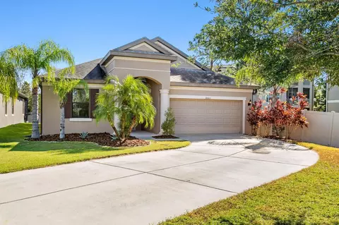 8003 Whitetail Deer Way, Tampa, FL 33635