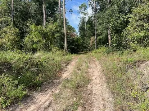 38851 Sumner Lake Rd, Dade City, FL 33525