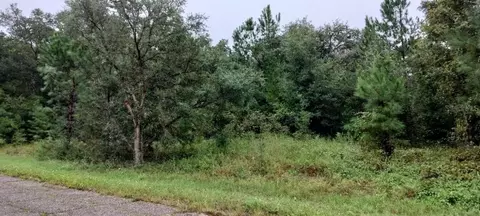 902 E Noah Ln, Dunnellon, FL 34434