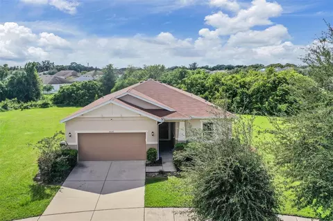 11537 Southern Creek Dr, Gibsonton, FL 33534