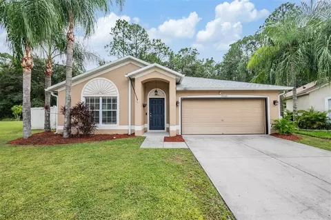 35230 Meadow Reach Dr, Zephyrhills, FL 33541