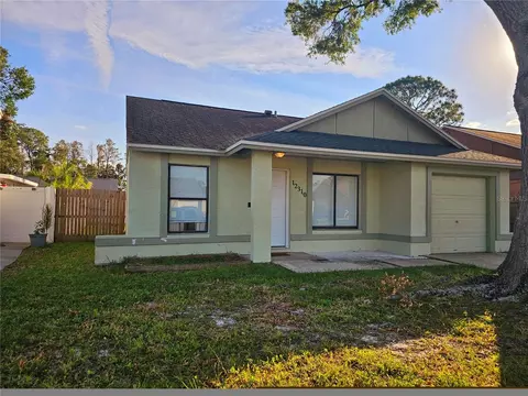 12310 Cloverstone Dr, Tampa, FL 33624