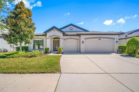 8144 Mallow Mirror Ln, Land O Lakes, FL 34637