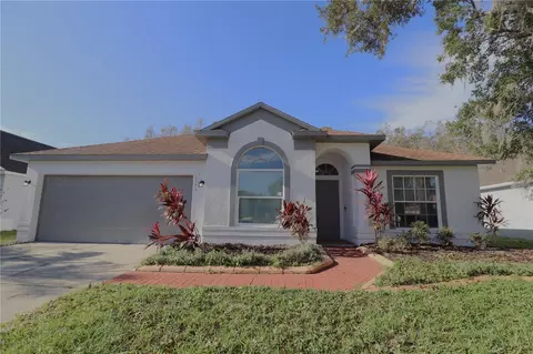 1143 Timber Trace Dr, Wesley Chapel, FL 33543