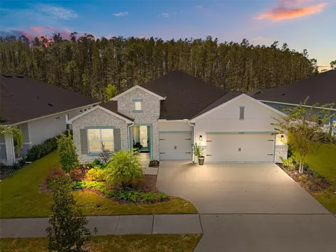 15376 Fenland Way, Odessa, FL 33556