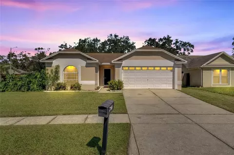 1124 Bloom Hill Ave, Valrico, FL 33596