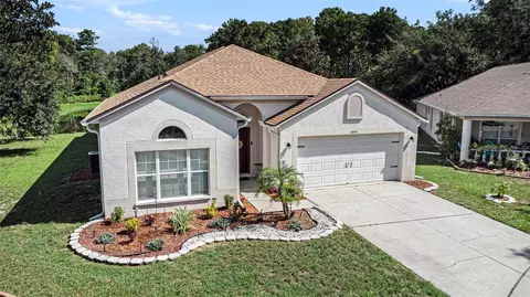 10954 May Apple Ct, Land O Lakes, FL 34638
