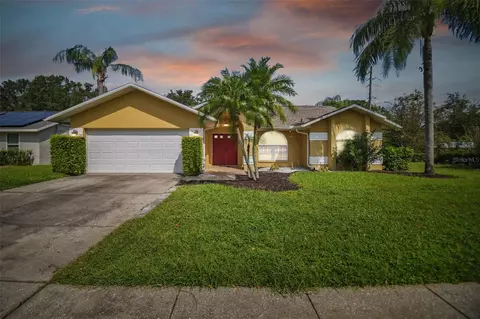 5801 Lady Bug Ct, Tampa, FL 33625