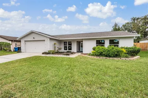 4201 Hollow Hill Dr, Tampa, FL 33624