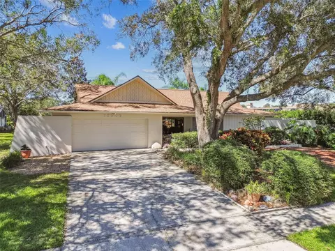 13906 Village Lake Pl, Tampa, FL 33624