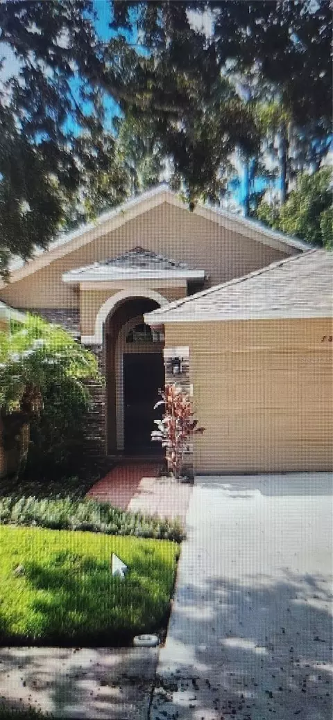 7832 Blue Spring Dr, Land O Lakes, FL 34637