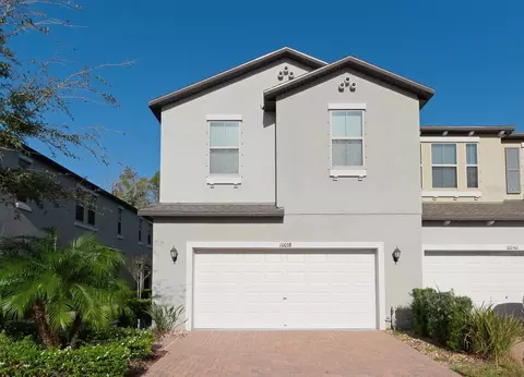 10038 Corso Milano Dr, Tampa, FL 33625