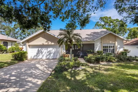 1315 Gillespie Dr N, Palm Harbor, FL 34684