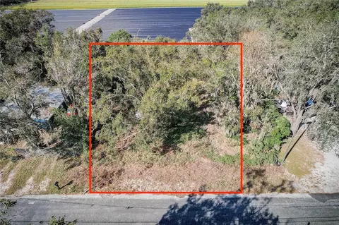 1333 Wilkinson Dr, Plant City, FL 33566