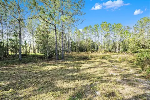 26369 Lawrence Ave, Wesley Chapel, FL 33544