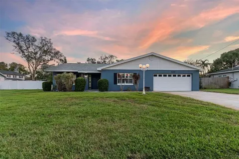 2614 Carroll Lake St, Tampa, FL 33618