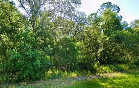SE 105 Place, Ocklawaha, FL 32179