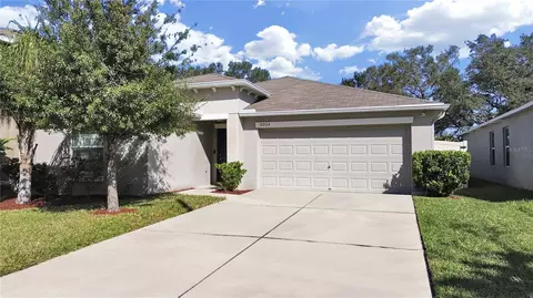 10204 Strawberry Tetra Dr, Riverview, FL 33578