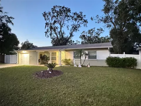 1521 W Park Ln, Tampa, FL 33603