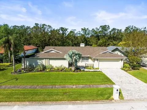 13916 Pepperrell Dr, Tampa, FL 33624
