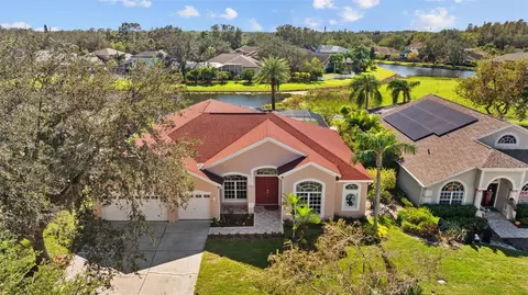 15809 Berea Dr, Odessa, FL 33556