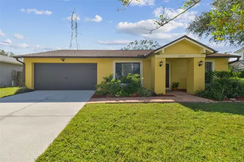 16203 Sawgrass Cir, Tampa, FL 33624