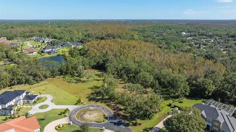 19005 Deer Point Pl, Odessa, FL 33556