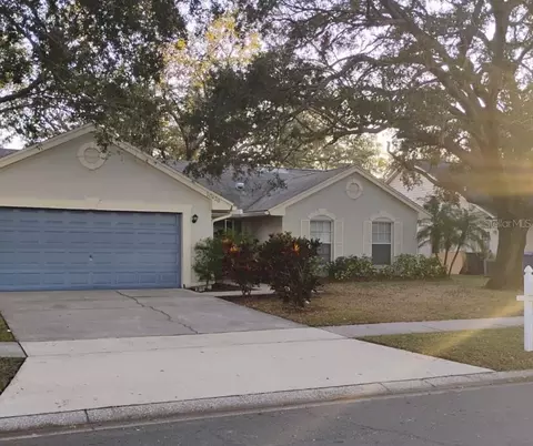 10420 Ashley Oaks Dr, Riverview, FL 33578