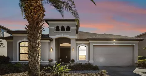 12532 Lillyreed Ct, Trinity, FL 34655