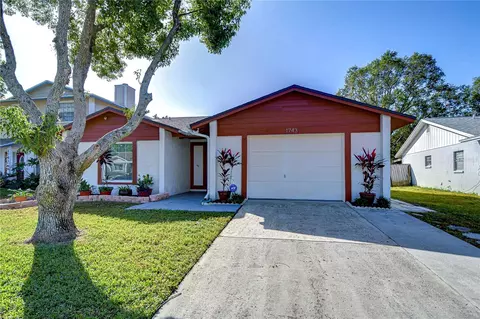 1743 Lakeview Village Dr, Brandon, FL 33510