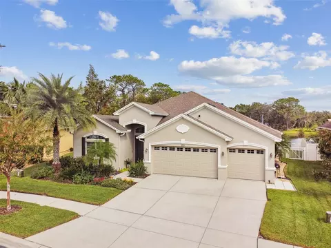 3355 Diamond Falls Cir, Land O Lakes, FL 34638