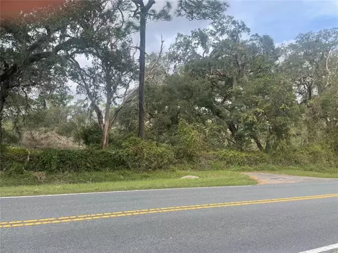 Hayes Road, Bushnell, FL 33513