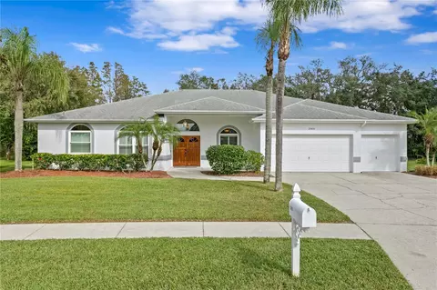 23051 Cypress Trail Dr, Lutz, FL 33549