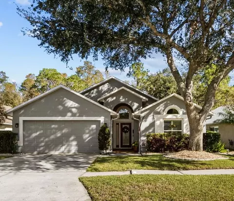 12531 Sparkleberry Rd, Tampa, FL 33626