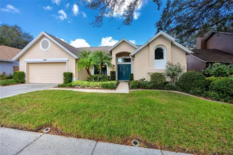 3023 Spring Oak Ave, Palm Harbor, FL 34684