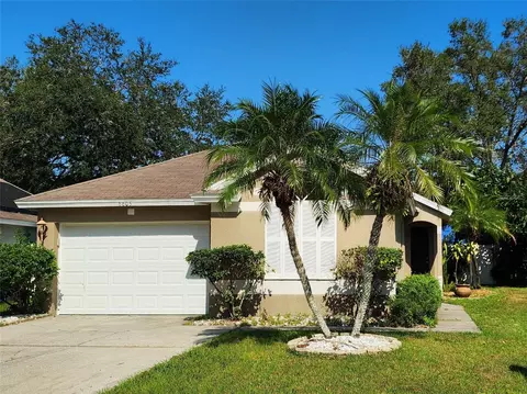 6605 Summer Haven Dr, Riverview, FL 33578 photo 1