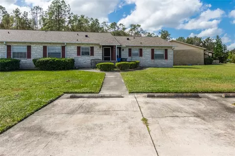 10314 Blue Field Ct, Thonotosassa, FL 33592