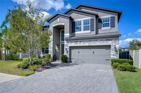10330 Stallion Fields Way, Tampa, FL 33647