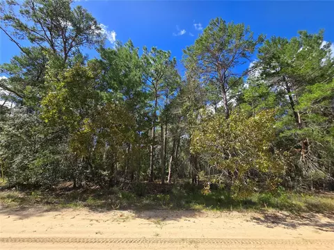 Selma Avenue, Interlachen, FL 32148
