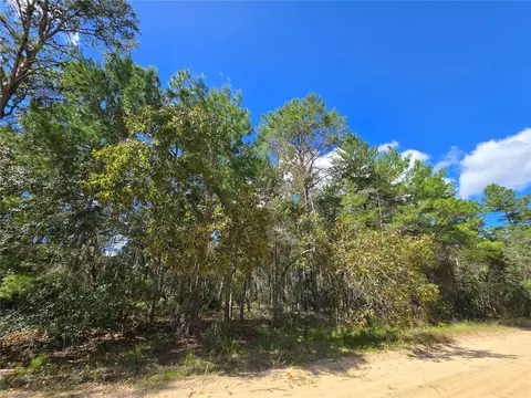 Selma Avenue, Interlachen, FL 32148