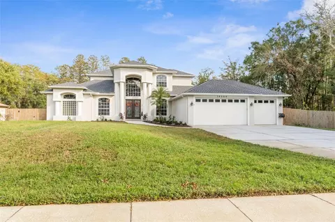 10508 Hinds Pl, Odessa, FL 33556