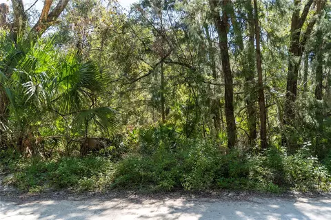 Ne 358th Ave, Old Town, FL 32680