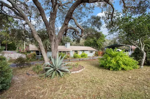 9927 Osceola Dr, Weeki Wachee, FL 34613